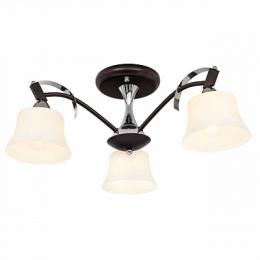 Изображение продукта Потолочная люстра Silver Light Assol 